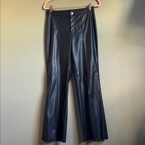 Wild fable, faux leather pants